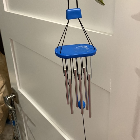 Parrots 🦜 - Picture 11 of 12